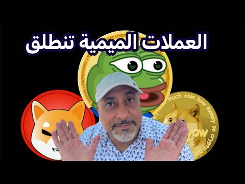 عملات ميم كوينز تنطلق شيبا اينو وبيبي ودوجكوين