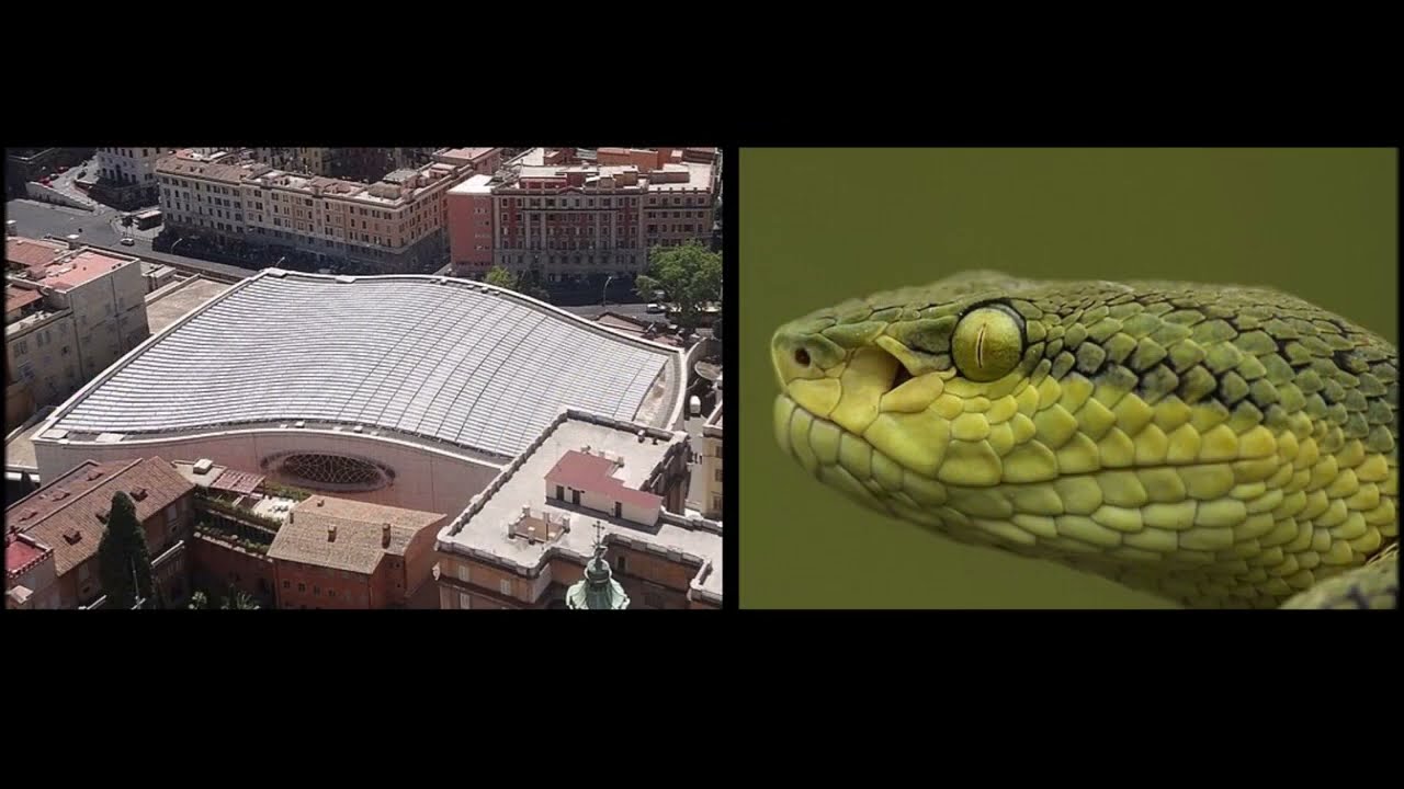 Satan’s little season displayed in the Vatican’s Audience Hall?