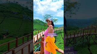 Its like dongeng #shortvideo #trending #videoshort #viralvideo #jejakpetualangku #sarahardhelia