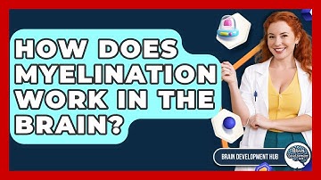 How Does Myelination Work In The Brain? - Brain Development Hub