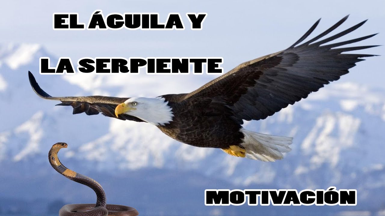 EL ÁGUILA Y LA SERPIENTE | MOTIVACIÓN - YouTube