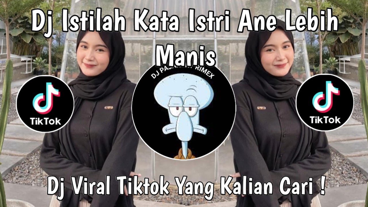 DJ ISTILAH KATA ISTRI ANE LEBIH MANIS VIRAL TIKTOK TERBARU 2025 YANG KALIAN CARI !