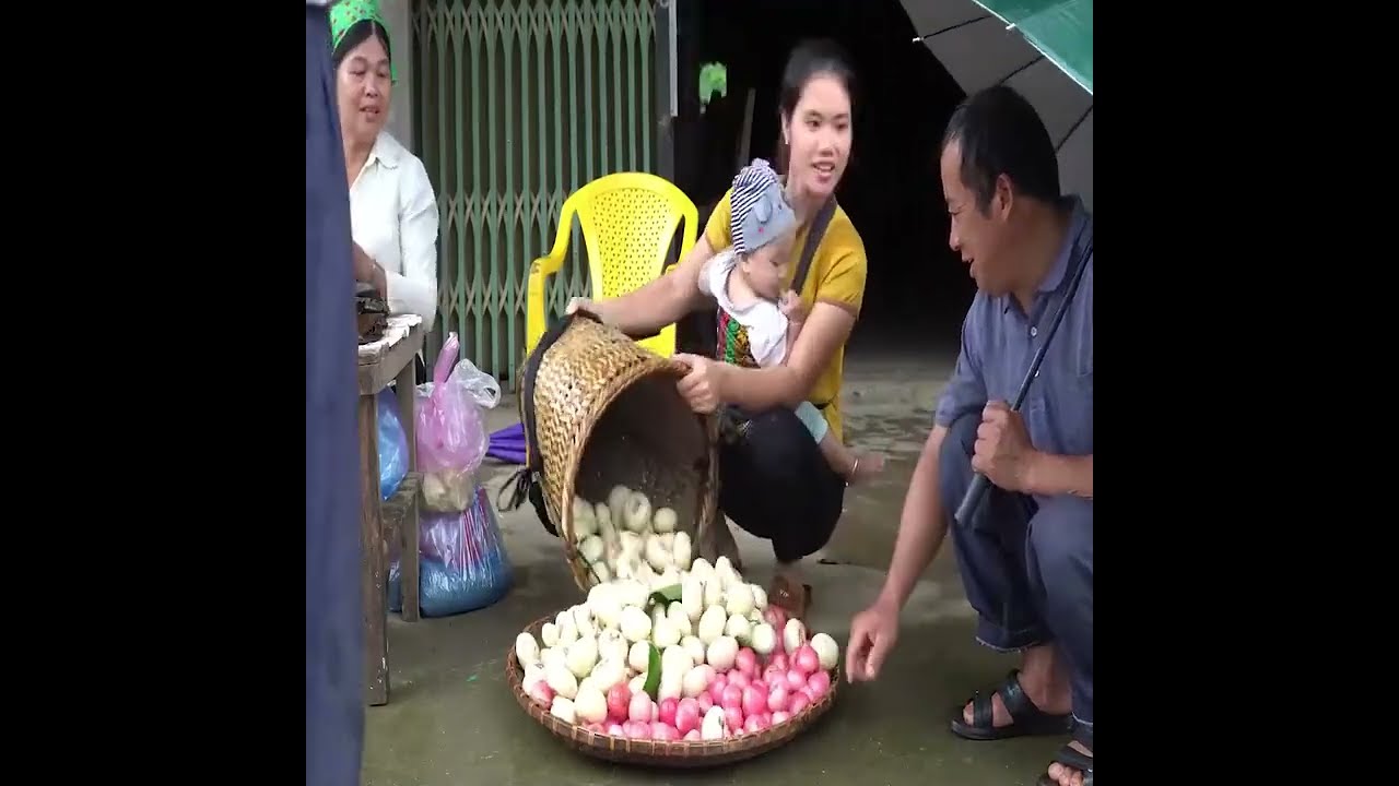 A Single Mother and Two Children on a Journey to Harvest Rose Apples
