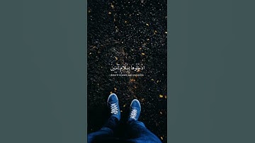 تلاوة خاشعة تملأ الأجواء نورًا: افتح يومك مع القرآن بعد صلاة الفجر