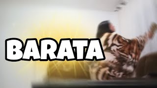 Um Vídeo Matando Barata Emily Paz Oficial