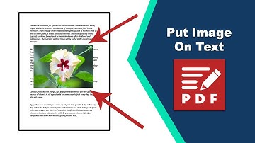 How to Position Images Above Text in a PDF File Easily in PDF-XChange Editor