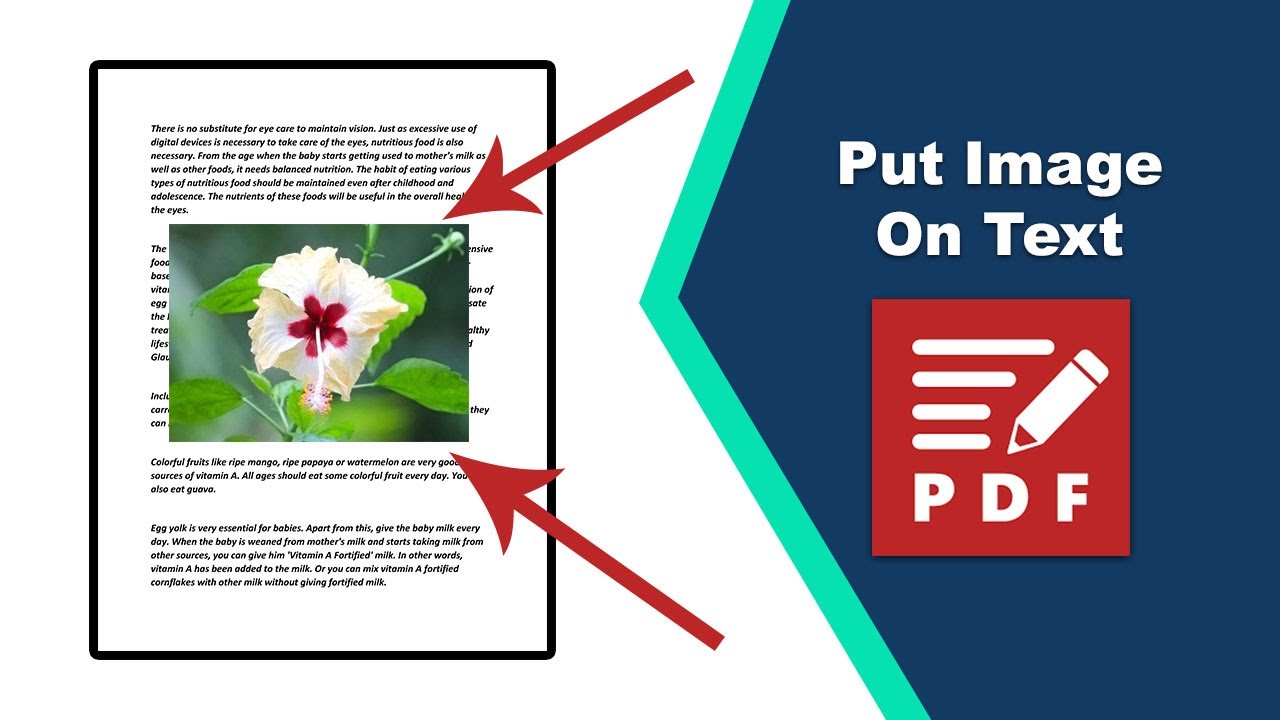 How to Position Images Above Text in a PDF File Easily in PDF-XChange Editor
