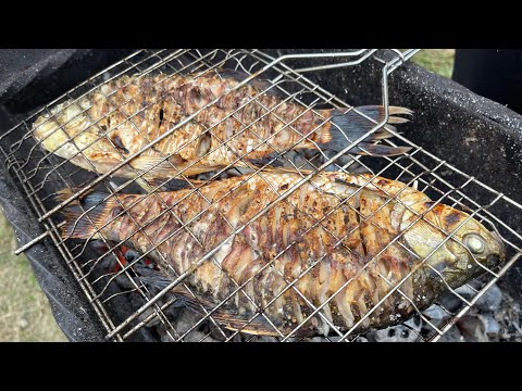 Караси вместо шашлыка. Crucian carp instead of barbecue.