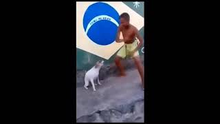 Perro chillando ( Remix)