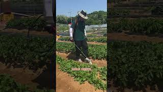 유니즈전동분무기 E01 #전동분무기 #분무기 #농기계 #유니즈 #농약분무기  #유니즈 #automobile #고장수리