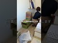 会社猫ふくの日常😸まりも、朝からゴミ袋を奪われるというパワハラを受けてました🤭#株式会社日章 #会社猫 #ゴミ袋