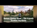 OLD FRIENDS-Cover on В.Кузьмин "Белые дикие кони"