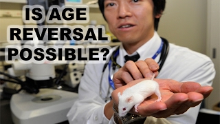 Harvard Age-Reversal Experiment
