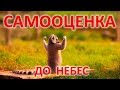 САМООЦЕНКА ДО НЕБЕС. Новое понимание принципов повышения уверенности в себе