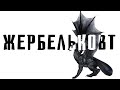 НАЙКРАЩА НІСЕНІТНИЦЯ — ЖЕРБЕЛЬКОВТ !