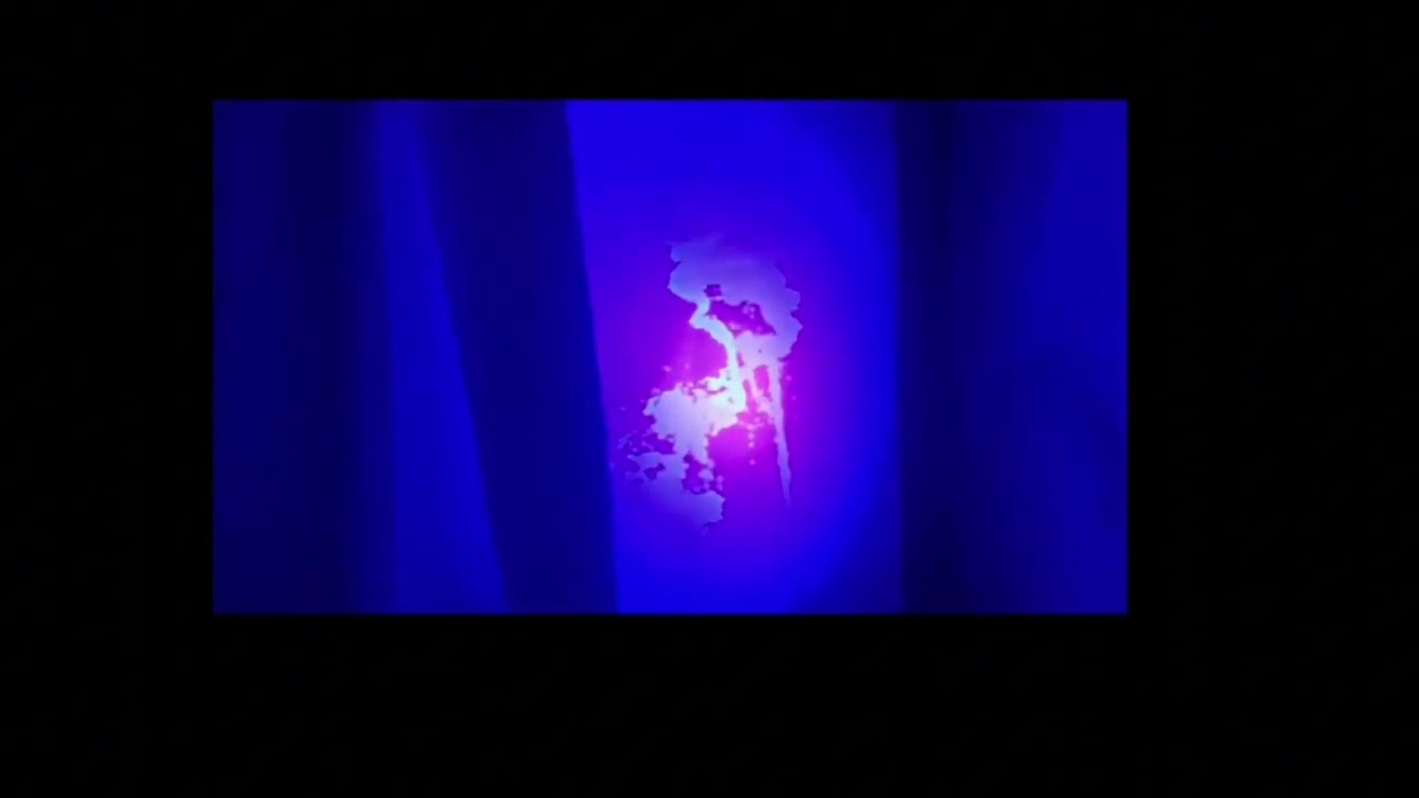 UV Flashlight 395nm Ultraviolet Torch With Pen Clip Portable AAA Batterie