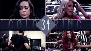 Sony Vegas Coloring | 34