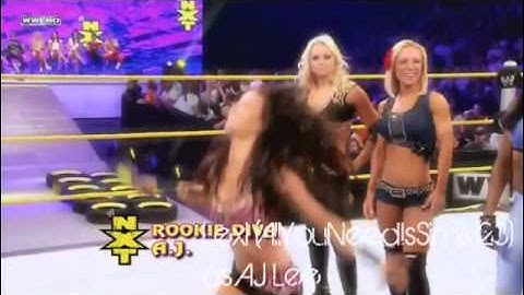 Everything MVC Task 1 Results & Task 2