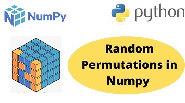 Random Permutation in Numpy | Numpy Random Permutation | Numpy Random | Numpy Tutorial