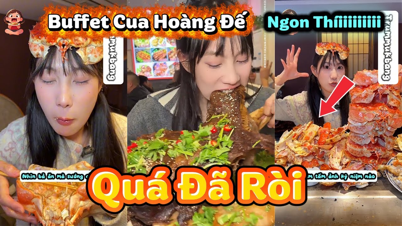 Tổng Hợp | Tiểu Bảo Đớp Bufffet Cua Hoàng Đế Siêu Ngon