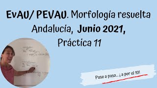 Morfología resuelta PEVAU, Andalucía junio 2021. Práctica 11