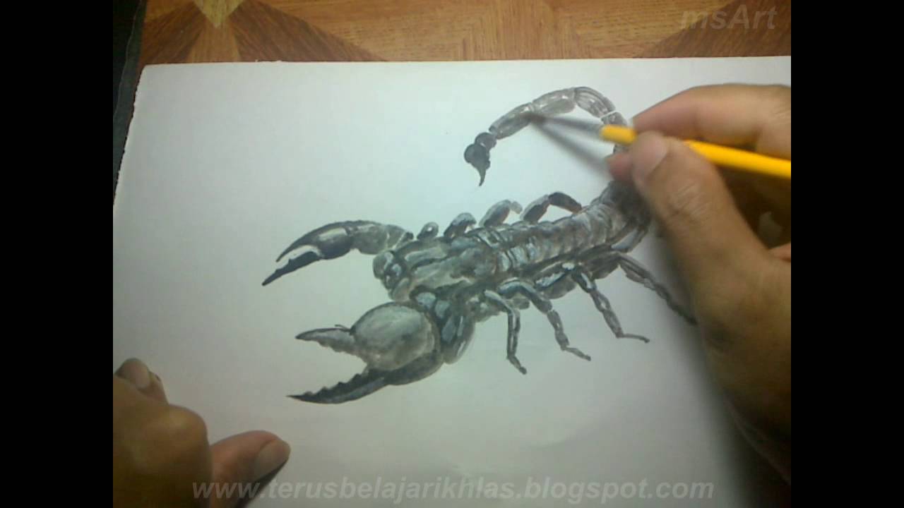 BELAJAR MELUKIS MENGGUNAKAN CAT AIRmenggambar BLACK SCORPION 3D