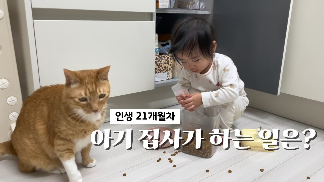 인생 21개월차 아기 집사가 아침에 하는 일