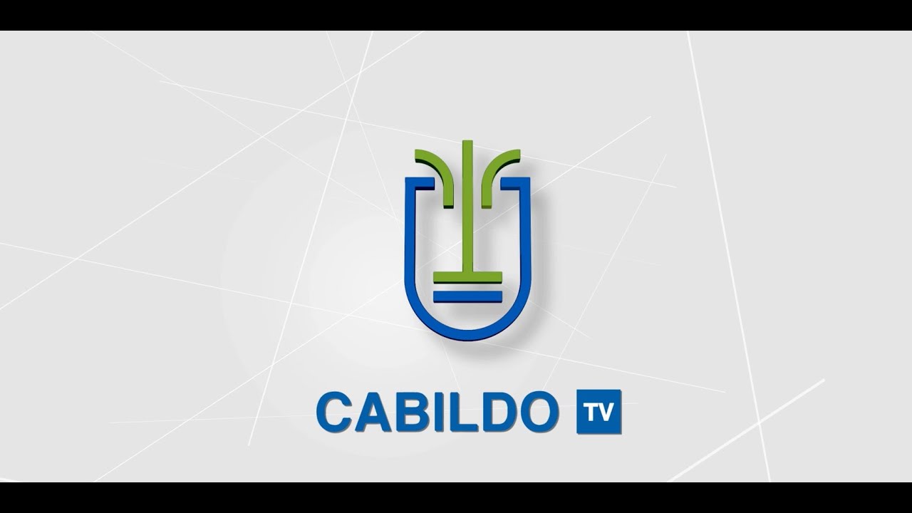 SESIÓN PLENARIA ORDINARIA DE FECHA 15 DE ENERO DE 2026