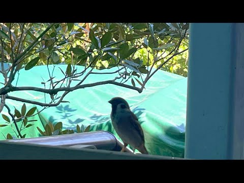 Life Feels Lighter With Little Life My Piano Version 