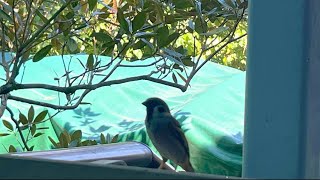 Life Feels Lighter With Little Life my Piano Version