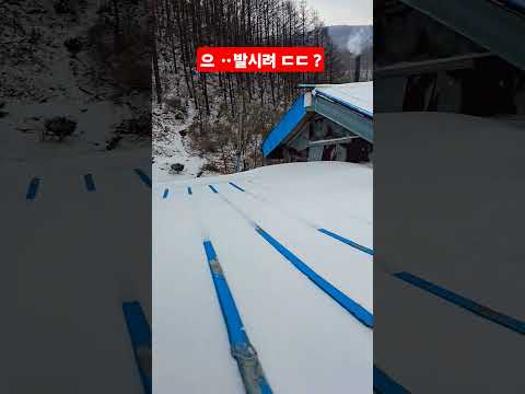 <strong>으</strong> ᆢ발시려 영하 12도 ㄷㄷ ?