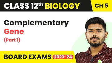 Complementary Gene (Part 1) - Principles of Inheritance and Variation | Class 12 (2022-23)