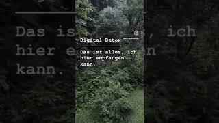 Digital Detox nature sounds #asmrsounds #twitter #birds