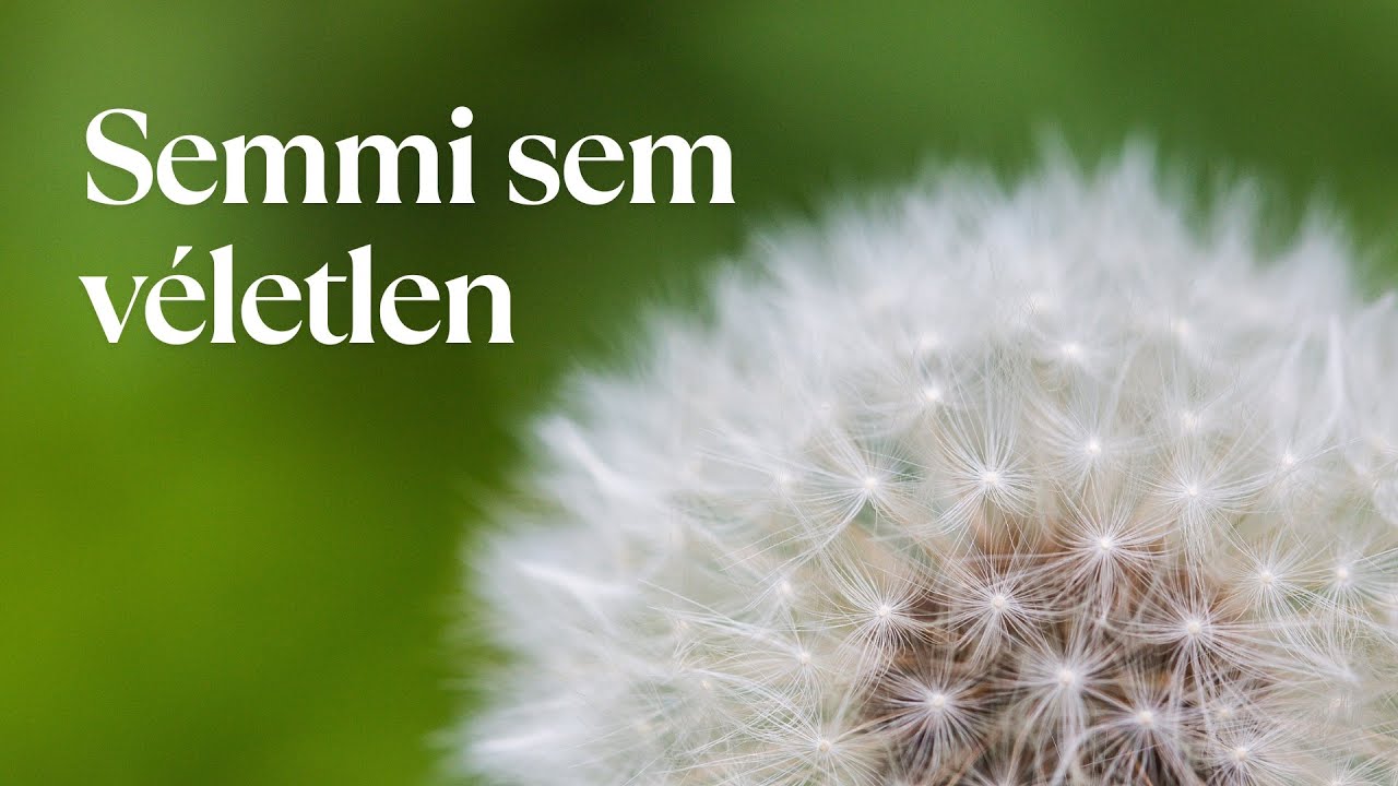 A szinkronicitások nem véletlenek 