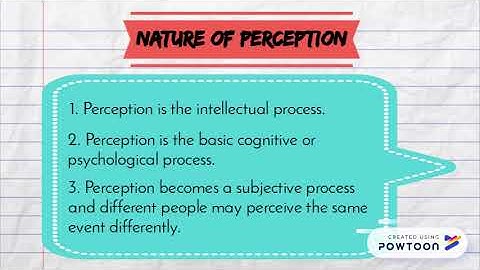 MGT 700 ORGANIZATIONAL BEHAVIOR: PERCEPTION