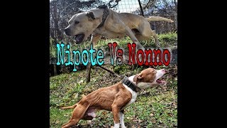 Sfida Sportiva Nonno Vs Nipote