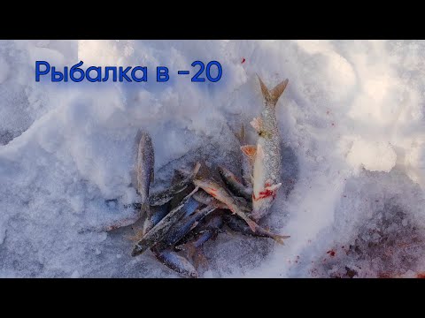 ЛОВЛЯ ПЛОТВЫ И ОКУНЯ НА МОРМЫШКУ | ЗИМНЯЯ РЫБАЛКА НА КАРЬЕРЕ