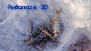 Ловля Плотвы И Окуня На Мормышку | Зимняя Рыбалка На Карьере