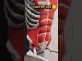 #viralvideo #fitnessmotivation #motivation #gym ##short #shorts😱