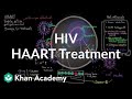 Understanding HAART and Its Implications