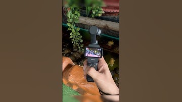 DJI Pocket 3- Best Vlogging Camera For Beginners✅🤳Check Results👆 #dji #djipocket3 #camera