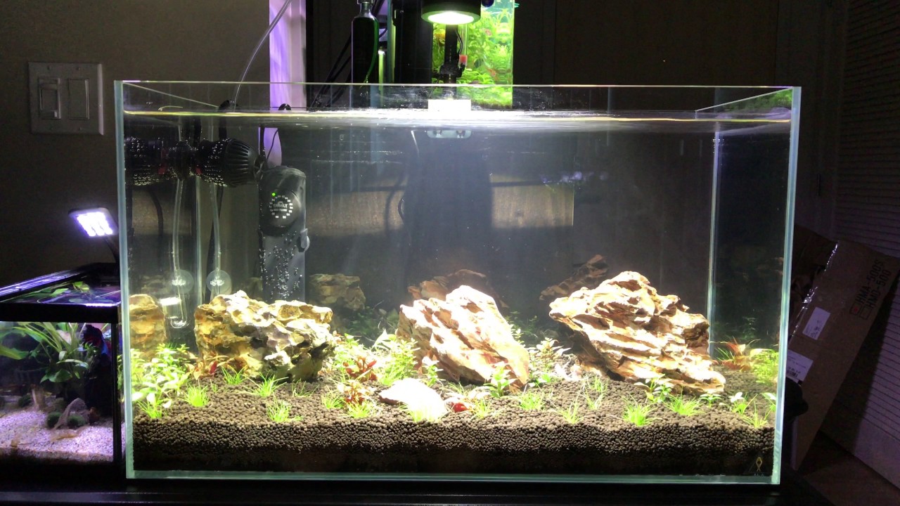 17 Gal rimless low iron Aquarium with Kessil 160 Tuna sun/Hydor