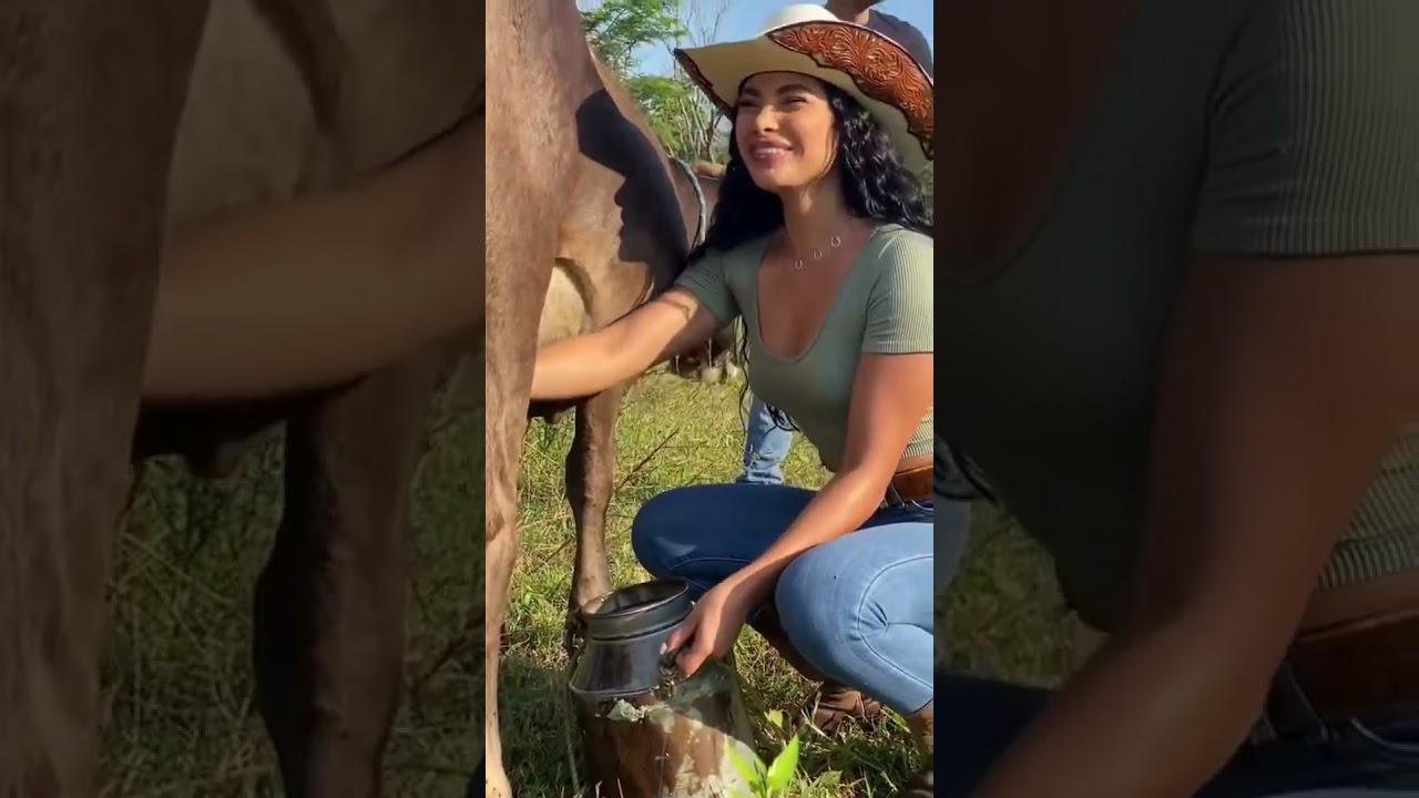 Tonton drink fresh milk 🐄🍼 #shorts di YouTube Tonton drink fresh milk 🐄🍼 #shorts di YouTube