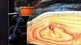 Het Zagen Van Hout Dat Goudmijnen Produceert, Raakt Niet Op Ook Al Zeven Generaties Zagerij