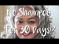 No Shampoo for 30 Days! | Steps and Results | Pros and Cons | Gray Hair