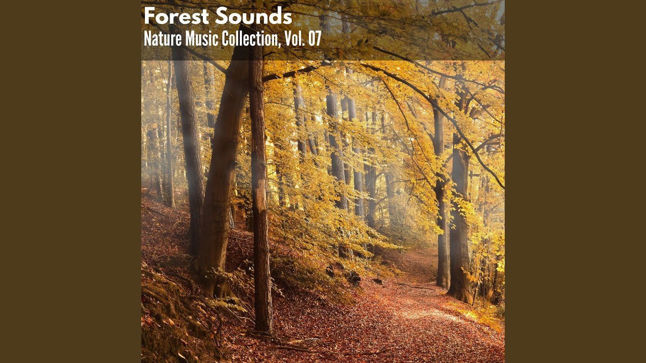 Desolate Rocky Mountain