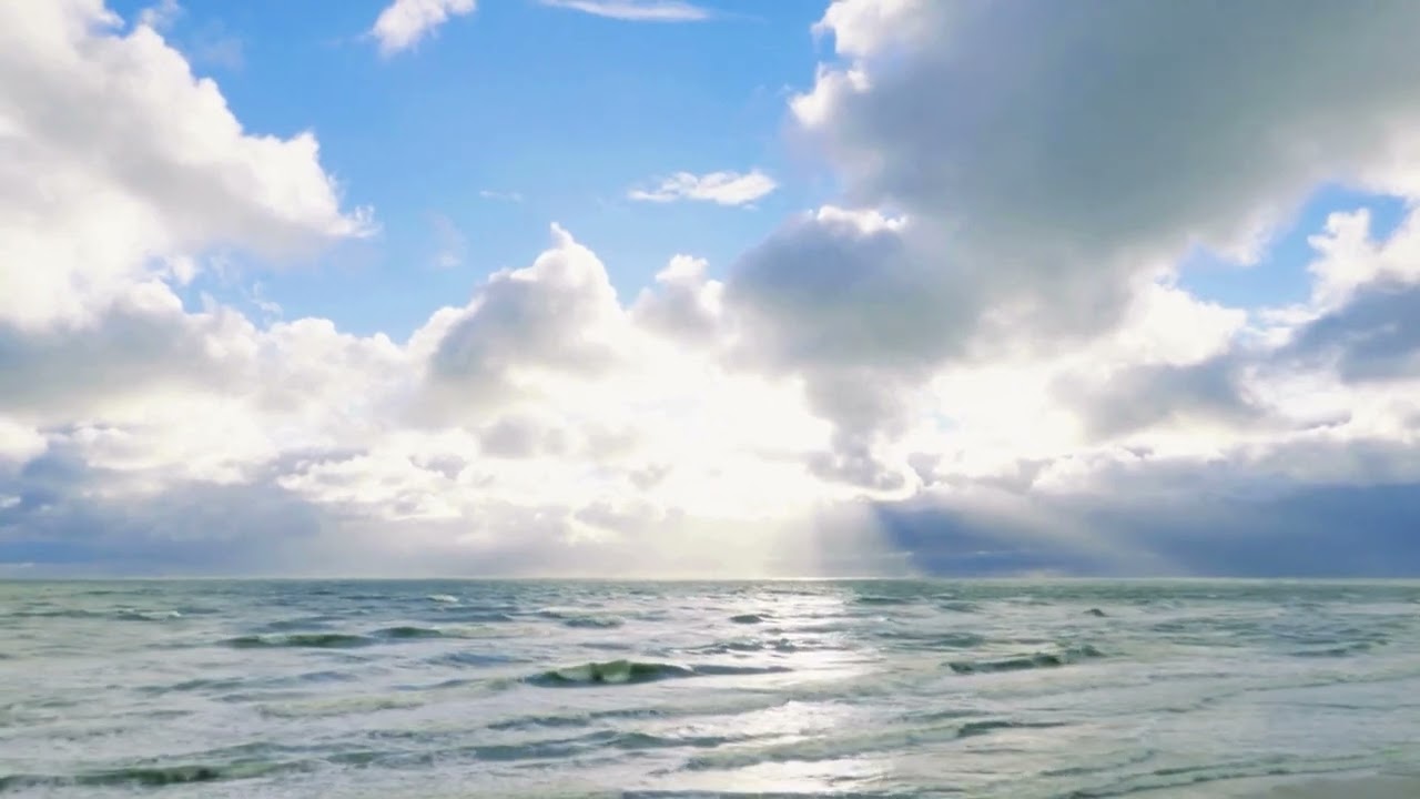 قصه سوره البقره وفضلها على أمجد والله على ما أقول شهيد 🖐🏻