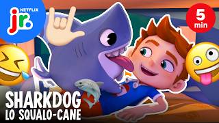 UNO SQUALO-CANE DOMESTICO 🦈🐕💙 Sharkdog: Lo squalo-cane | Netflix Junior Italia