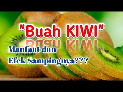 Wajib Tau!! Iniloh.. Manfaat Si Kiwi Beserta Efek Sampingnya