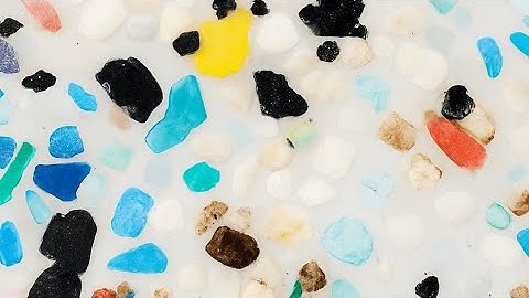 Deze schimmel eet plastic?! De doorbraak van 3 minuten